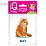 Умный малыш. ENGLISH. Домашние питомцы. Набор карточек для детей.