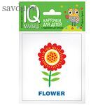 Умный малыш. ENGLISH. Растения