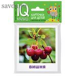 Умный малыш. Что растёт в саду? Набор карточек для детей.