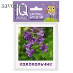 Умный малыш. Что растёт на клумбе? Набор карточек для детей.
