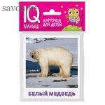 Умный малыш. Животные полярных широт. Набор карточек для детей.