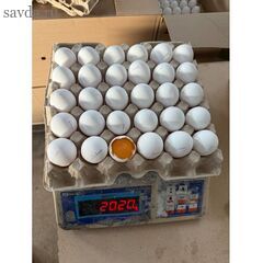 Яйцо куриное С0 с доставкой в Махачкале — для кафе, пекарен, дома