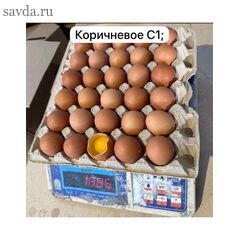 Яйцо коричневого цвета, С-1
