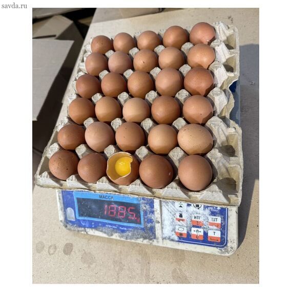 Яйцо куриное С0 с доставкой в Махачкале — для кафе, пекарен, дома