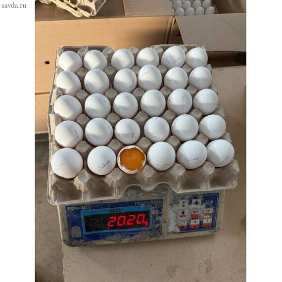 Яйцо куриное С0 с доставкой в Махачкале — для кафе, пекарен, дома