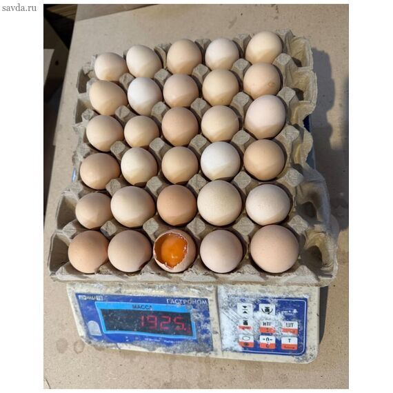 Яйцо куриное С0 с доставкой в Махачкале — для кафе, пекарен, дома