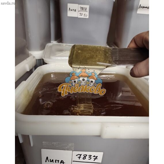 Белый Донник (Жидкий) оптом