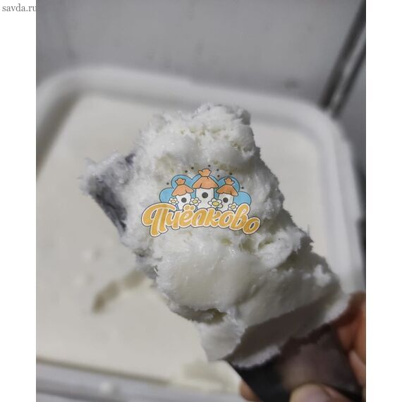 Липа дальневосточная оптом