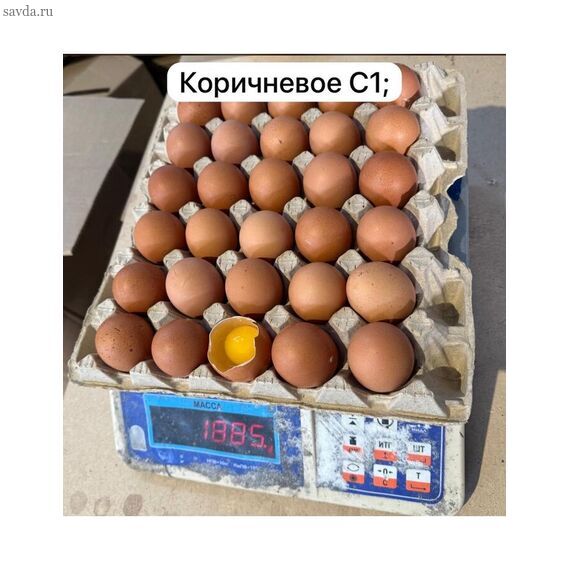 Яйцо Коричневый С-1