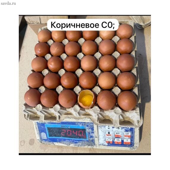 Яйцо Коричневый С-0